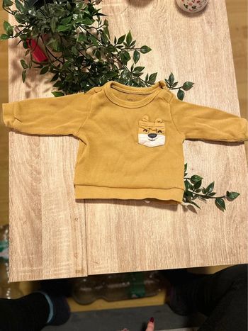 Pull 6 mois