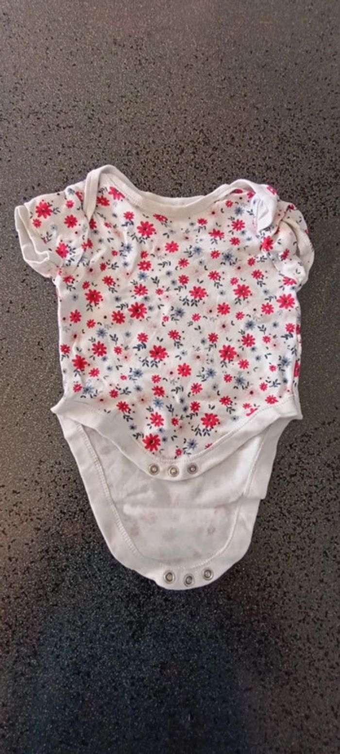Lot bodies fille 6 mois - photo numéro 5