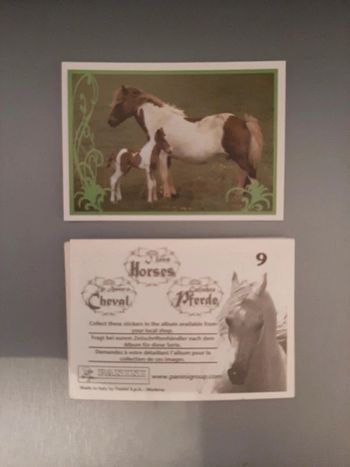 Lot de 25 images panini un amour de cheval