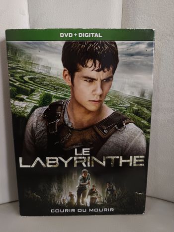 Dvd " Le Labyrinthe "