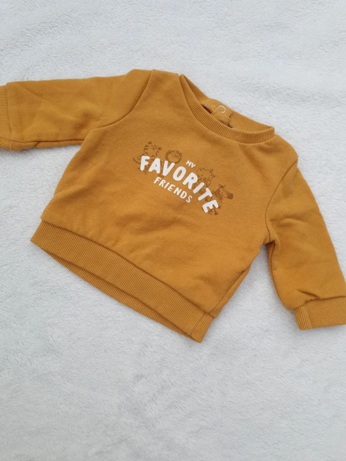 Sweat "savane"
