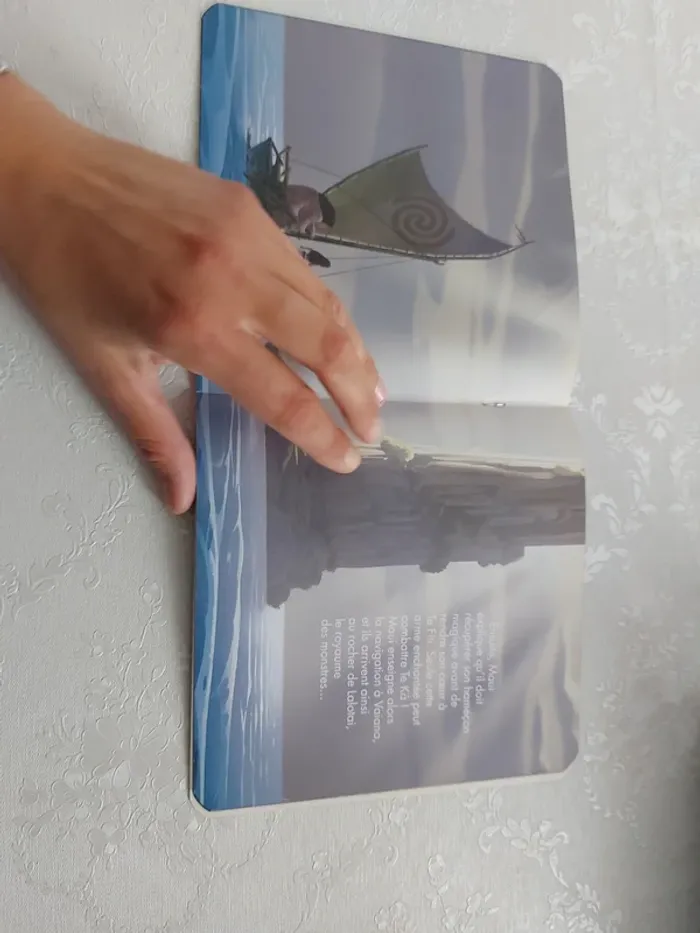 Livre vaiana la légende du bout du monde - photo numéro 5