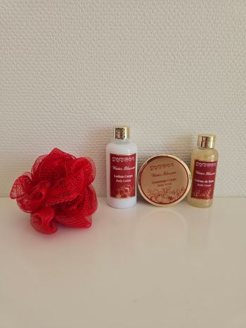 Lot de produits pour le corps - Parisax