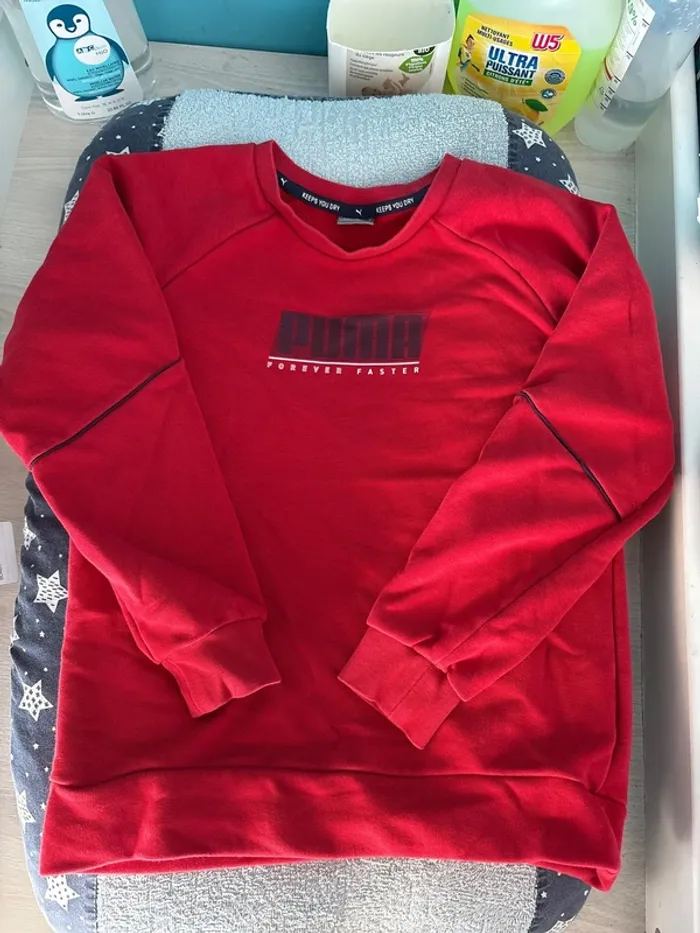 Pull puma