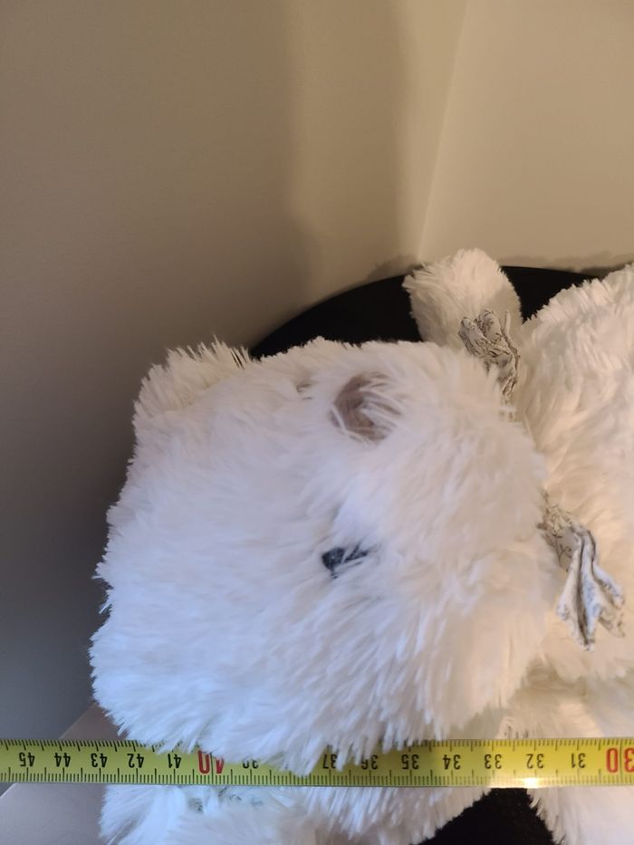 doudou ours - photo numéro 2