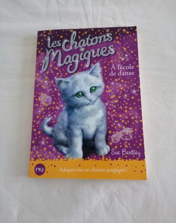 Livre les chatons magiques, à l'école de danse