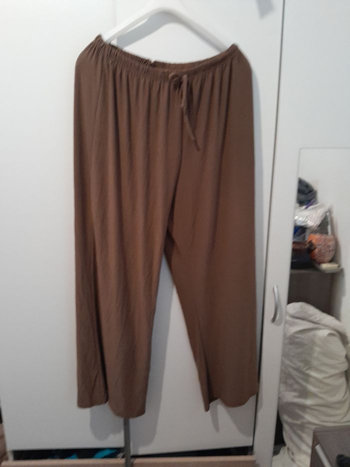 Pantalons grande taille - photo numéro 2