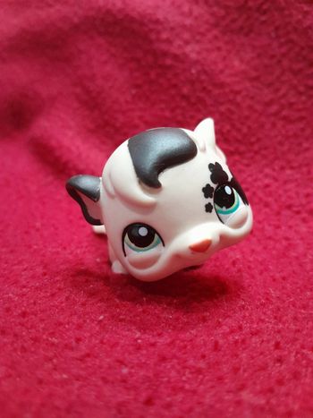 Figurine Petshop A15