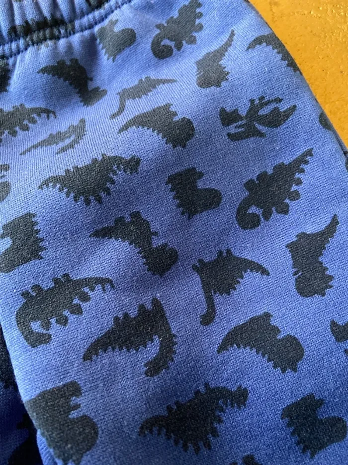 Pyjama 2 pièces dinosaure 9 mois - photo numéro 3