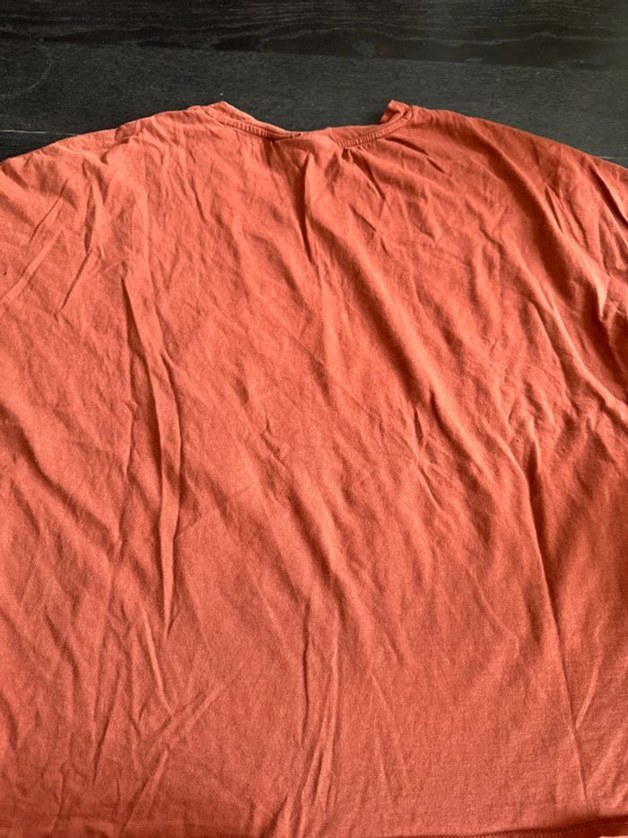 Teeshirt grande taille femme - photo numéro 6
