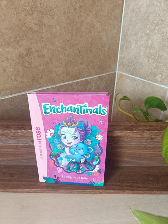 Livre enchantimals - photo numéro 2
