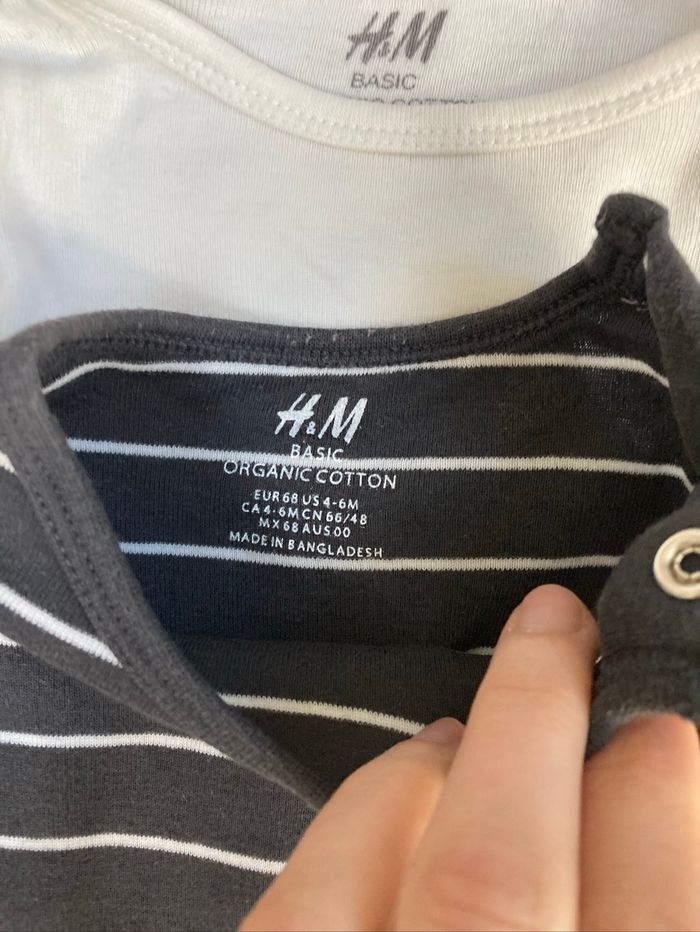 Lot de bodies H&M 6 mois - photo numéro 2