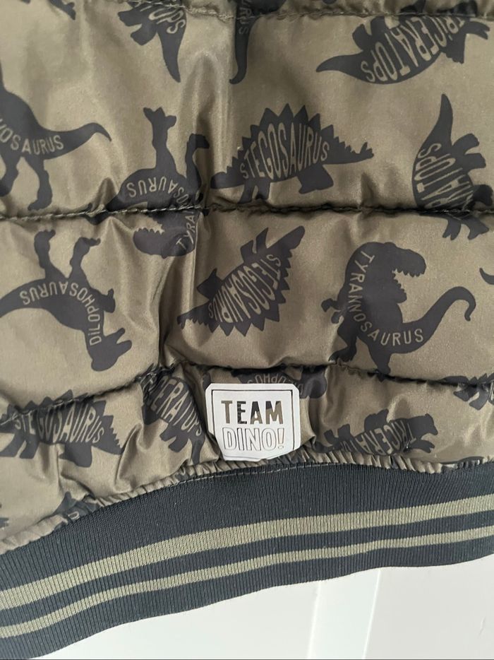 Veste dinosaures Kiki& koko 2/3 ans - photo numéro 4