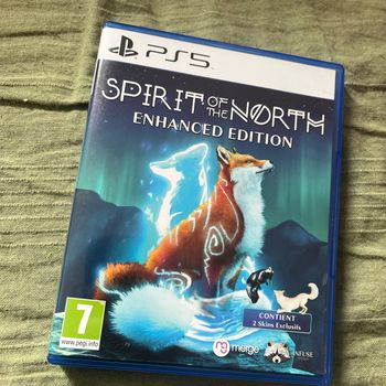 Spirit of the north PS5
