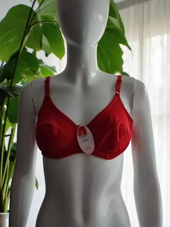 Soutien gorge 85B
