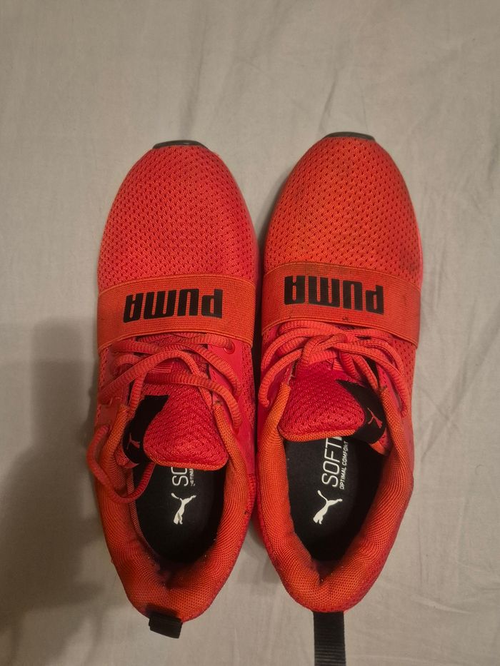 Puma