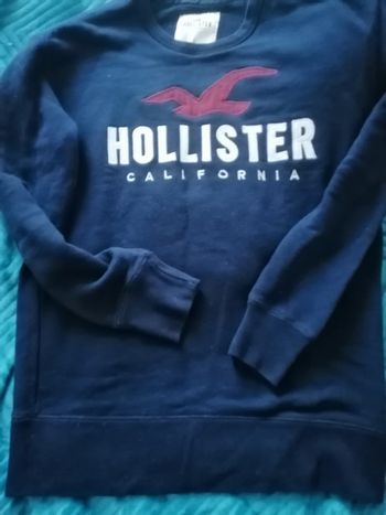 Sweat Hollister