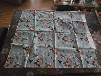 Panneau de tissus harry Potter bleu ciel