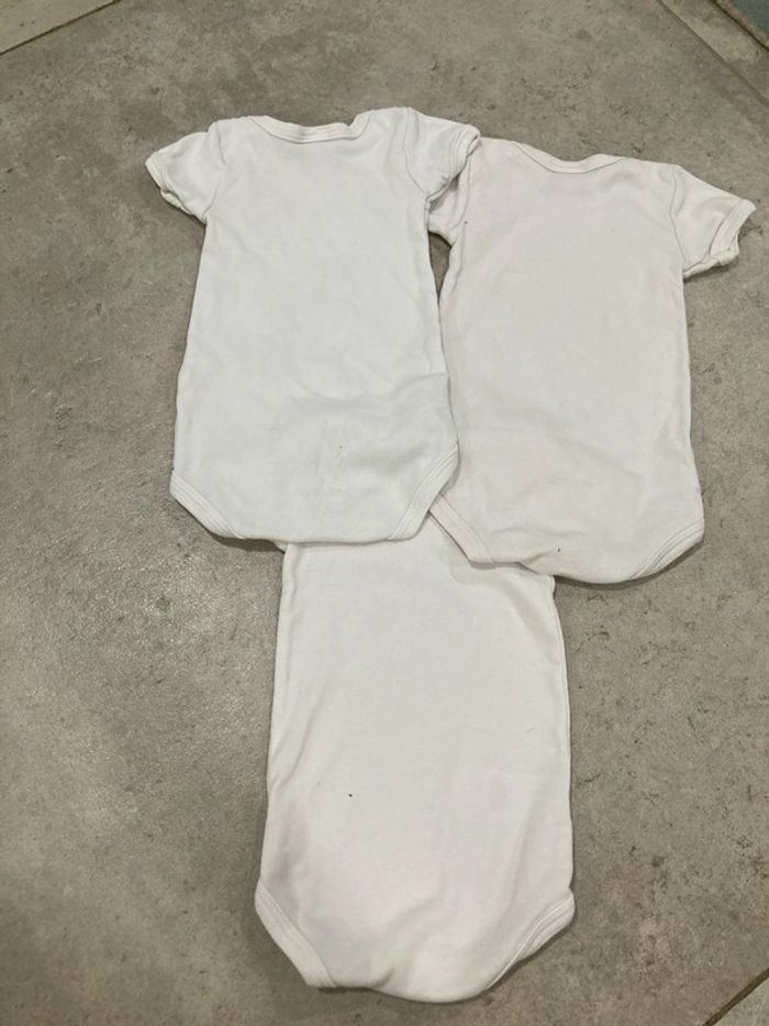 Lot de 12 bodys été 3 mois ( lot 3-3) - photo numéro 3