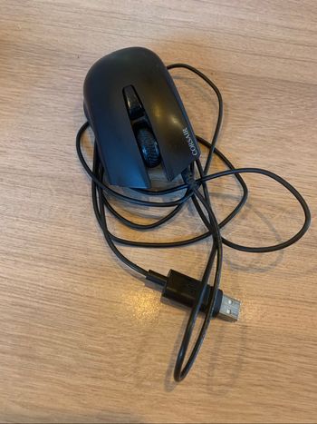Souris ordinateur