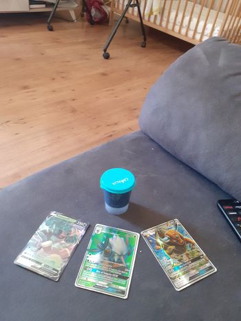 Carte Pokémon  et slim maison