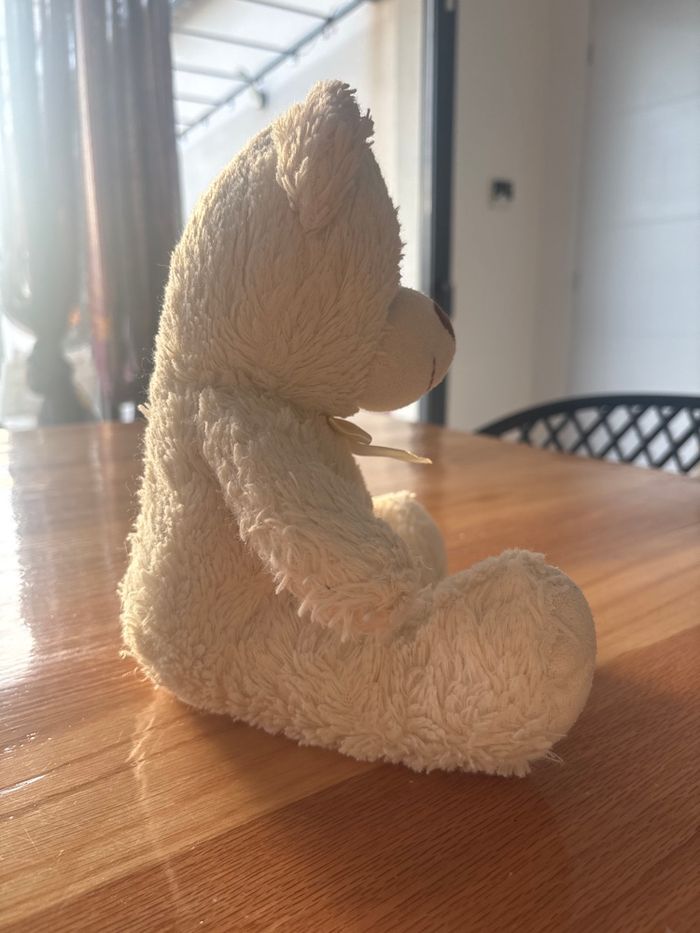 Ours en peluche - photo numéro 4