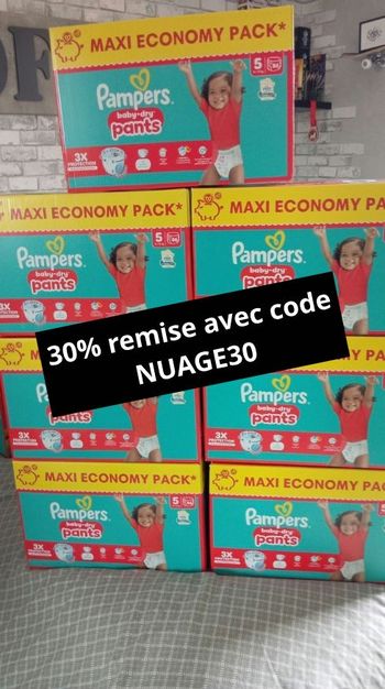 Les 2 maxi pack Pampers pants taille 5 neuf