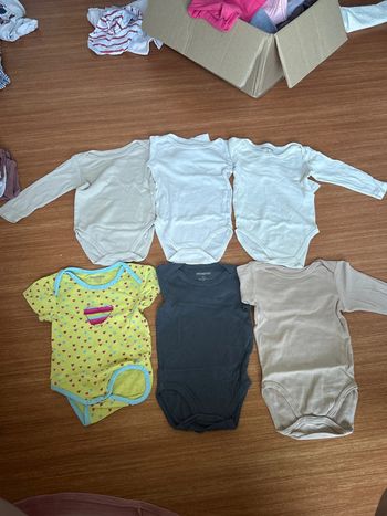 Lot de 6 body 12 mois