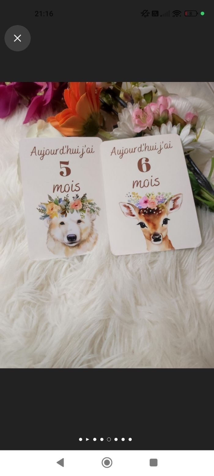 Carte étape bébé - photo numéro 4