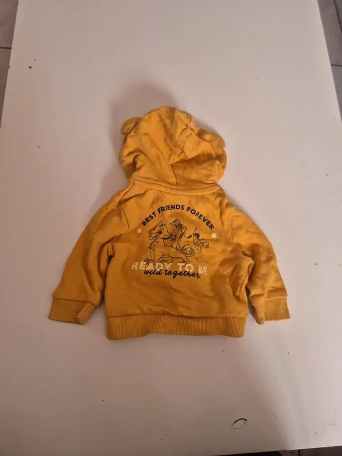 Gilet zippé simba 1 mois - photo numéro 3