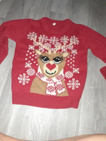 Pull de noël