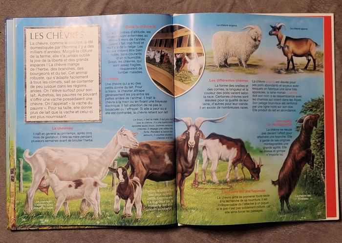 Les Animaux De La Ferme - L Agrande Imagerie Emilie Beaumont - photo numéro 4