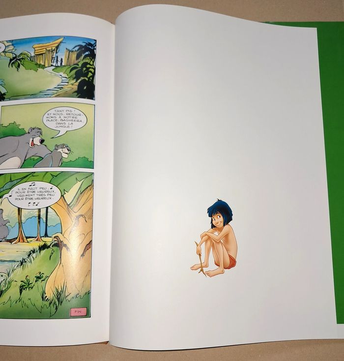 Le livre de la junge bande dessinée - photo numéro 5