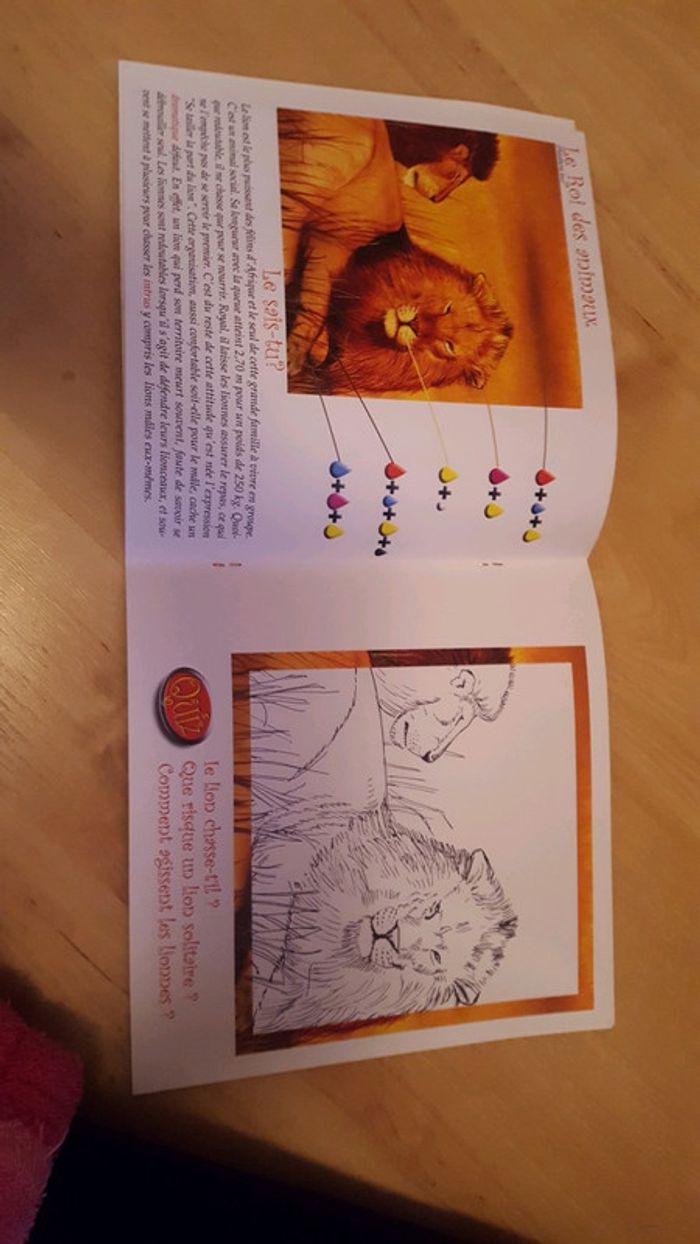 Livre à colorier ou a peindre - photo numéro 3