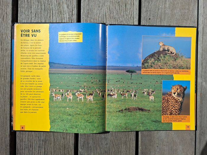 Livre le guepard - photo numéro 3