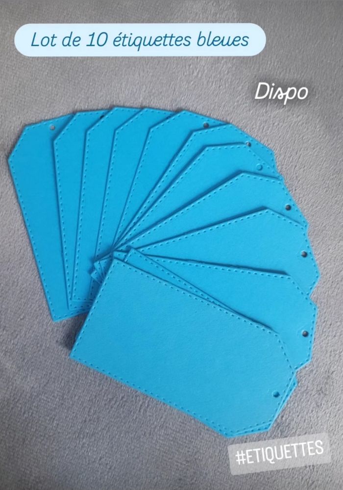 Lot de 10 étiquettes bleues