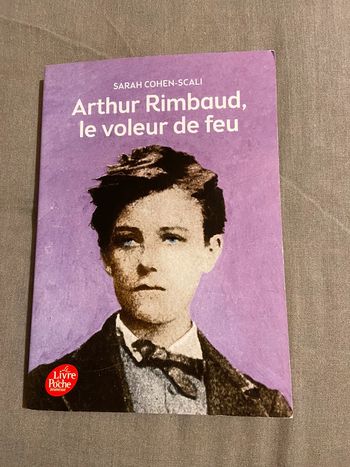Livre Arthur Rimbaud le voleur de feu