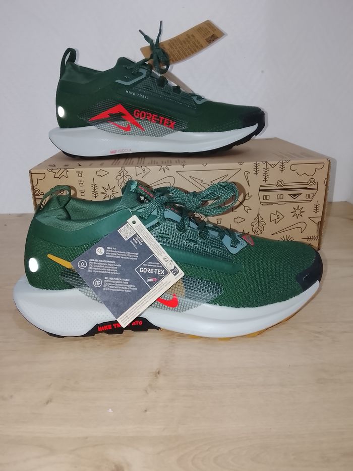 Nike Pegasus trail 5 GTX taille 38.5