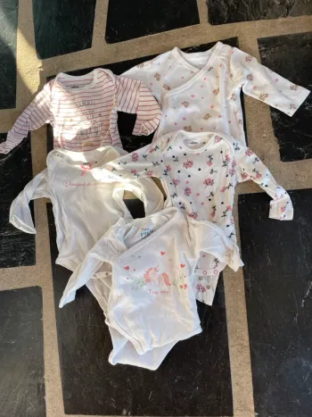Lot 5 bodies