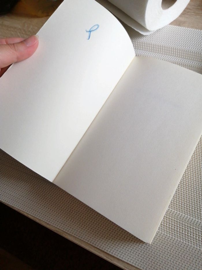 Livre 📖 le ciel des chevaux - photo numéro 4