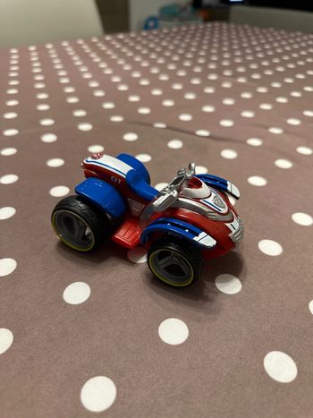 Quad rider pat patrouille