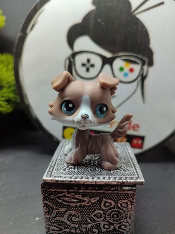 Lps01296 Littlest Petshop Pet Shop LPS Authentic Dog Colley Collie Chien 67