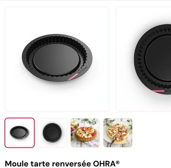 Moule Guy demarle neuf 