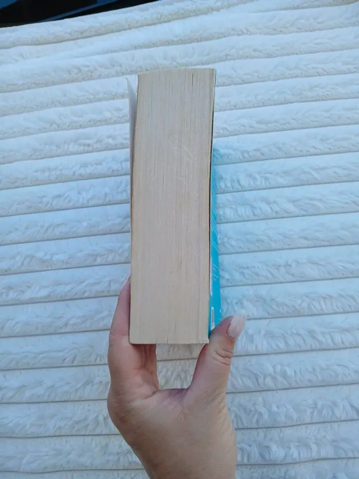 Livre after avant il n’y avait rien à perdre - photo numéro 3