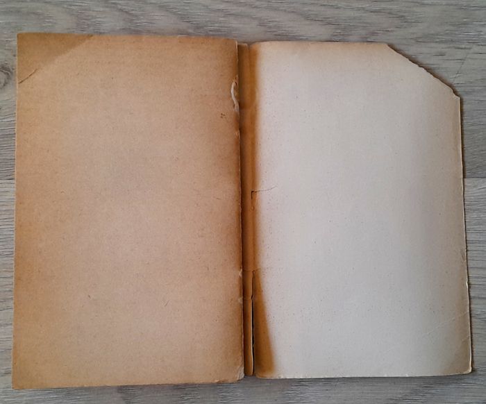 François Villon œuvres précédés d'une notice et suivies d'un glossaire - photo numéro 10