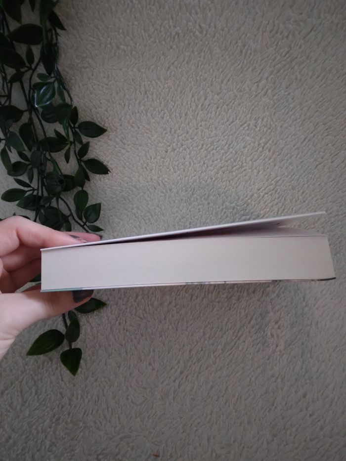 Livre Bienvenue à Lafayette - photo numéro 3