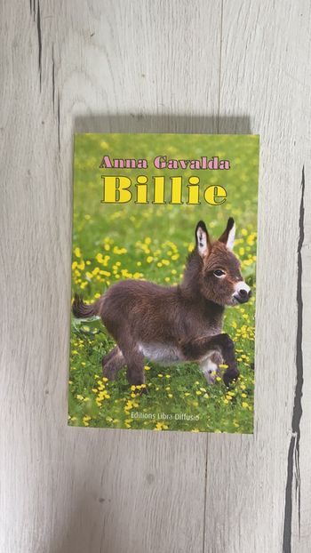 Livre Billie de  Anna Gavalda
