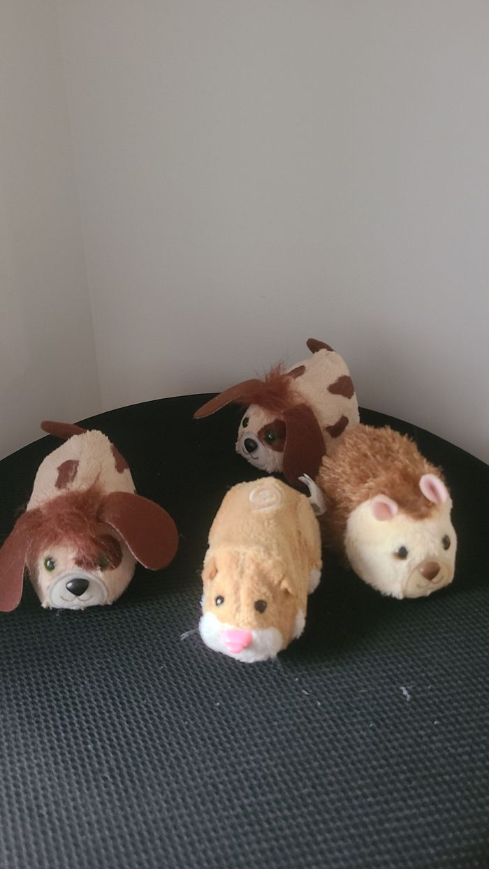 zhu zhu pet - photo numéro 3
