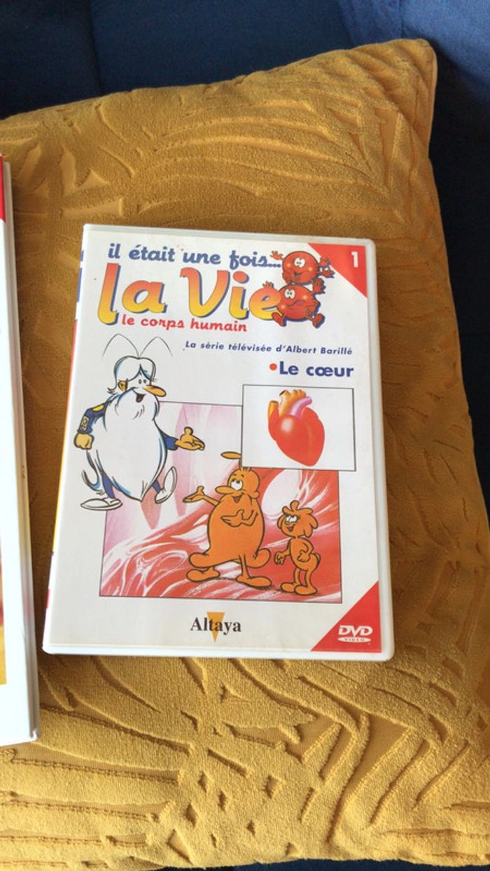 Collection il était une fois la vie le corps humain - photo numéro 3