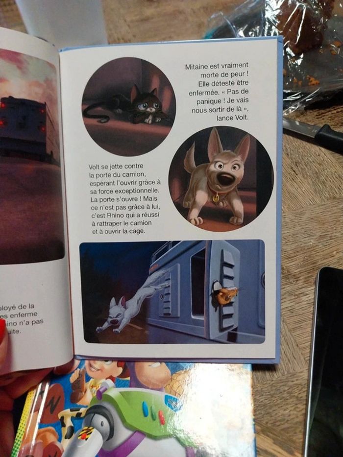 Ĺivre volt disney - photo numéro 3